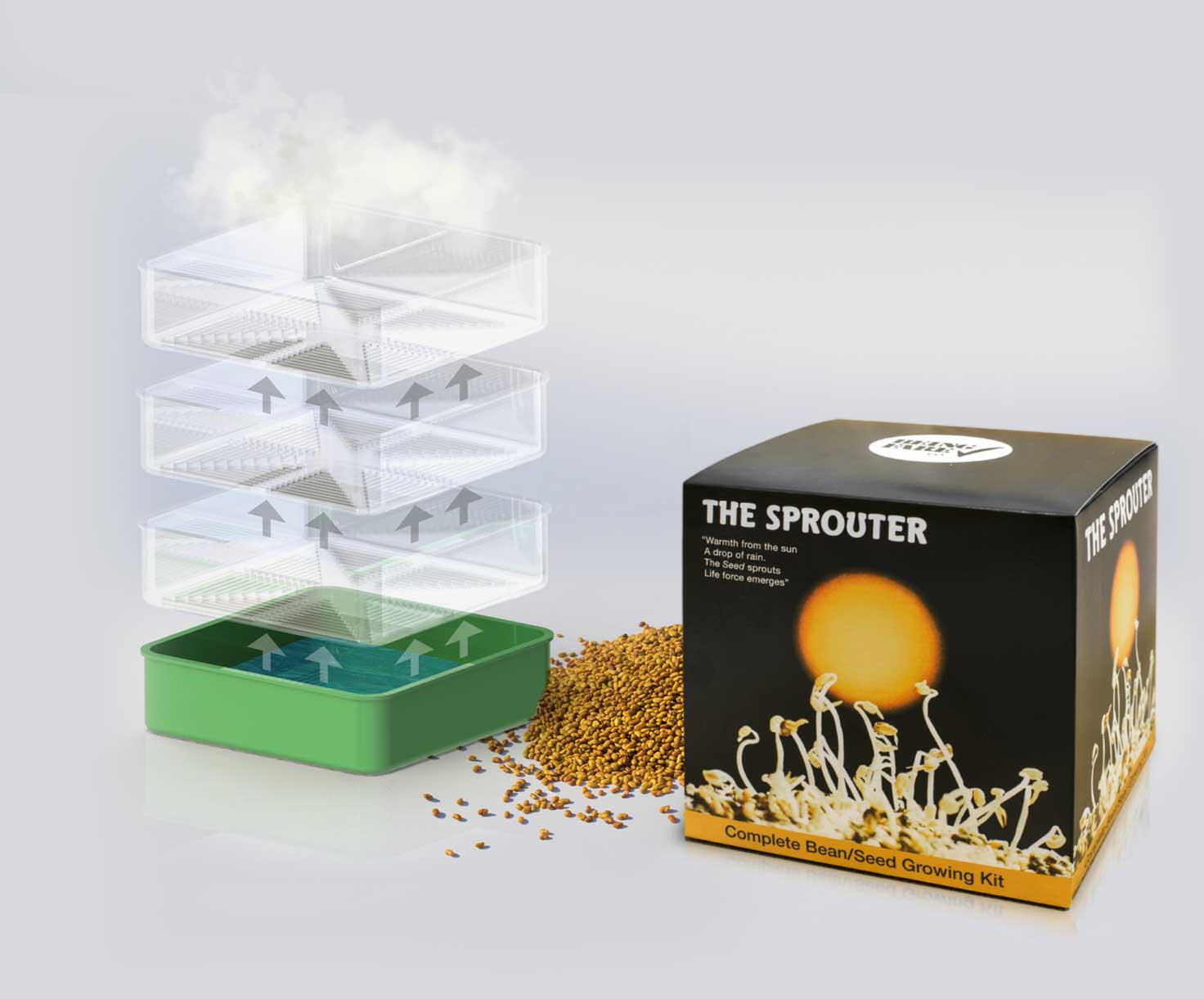 sprouting-kit-home-05 3D design Essex